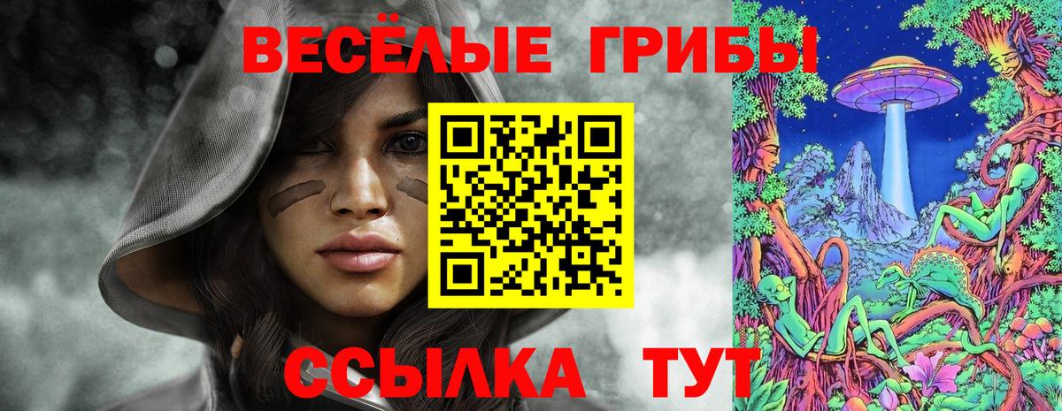 Галлюциногенные грибы Cubensis Ярославль